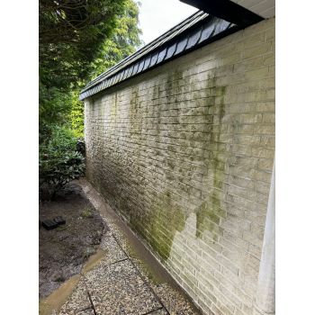 schmutzige Mauer vermoost verdreckt halb sauber